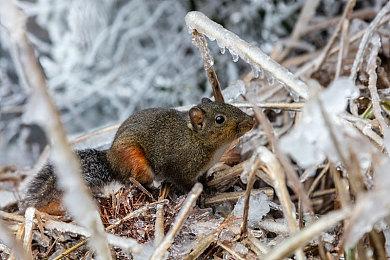 《乱剪一通》登陆 Steam 新品节，免费试玩派对游戏新宠！